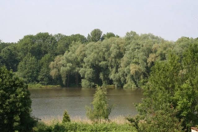 Pension Villa Beer Stralsund Bagian luar foto
